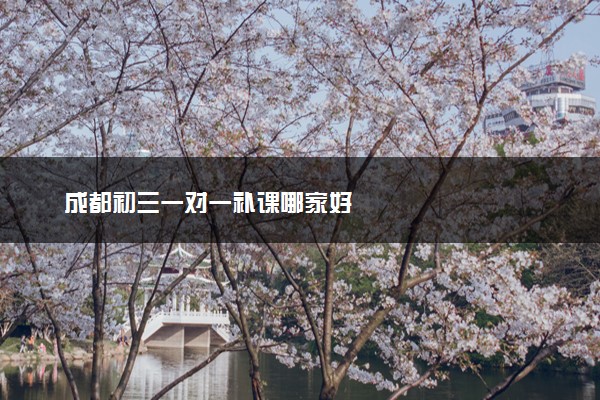 成都初三一对一补课哪家好
