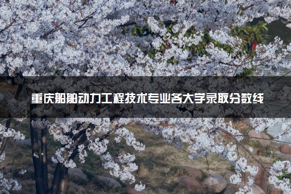 重庆船舶动力工程技术专业各大学录取分数线：最低313分能上 开设院校及位次