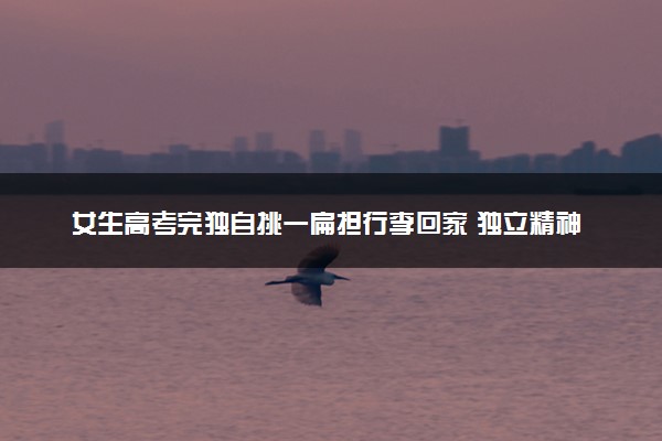 女生高考完独自挑一扁担行李回家 独立精神被赞扬