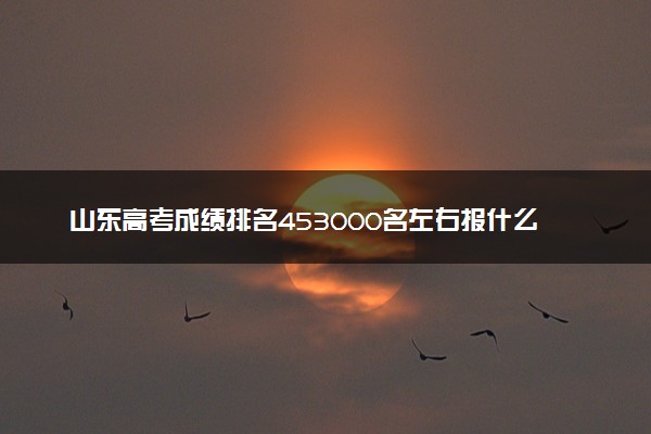 山东高考成绩排名453000名左右报什么大学好（2025年参考）