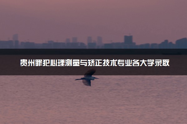 贵州罪犯心理测量与矫正技术专业各大学录取分数线：最低370分能上 开设院校及位次