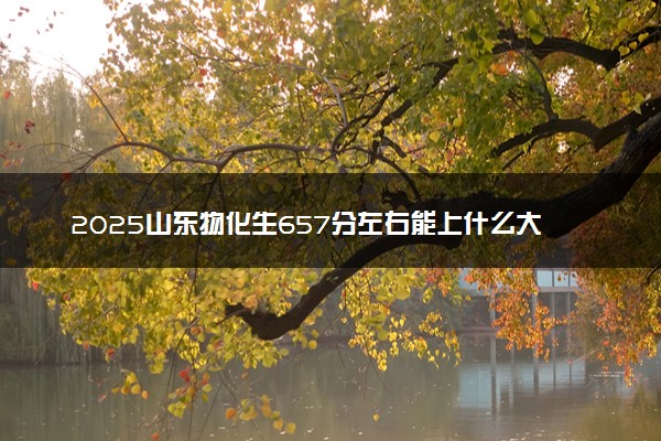 2025山东物化生657分左右能上什么大学 可以报考的院校名单