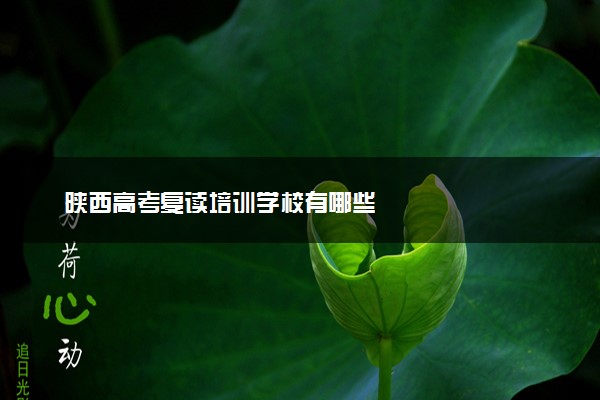 陕西高考复读培训学校有哪些