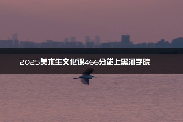 2025美术生文化课466分能上黑河学院吗