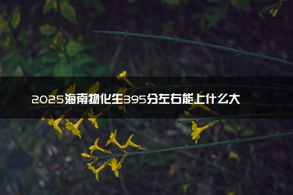 2025海南物化生395分左右能上什么大学 可以报考的院校名单