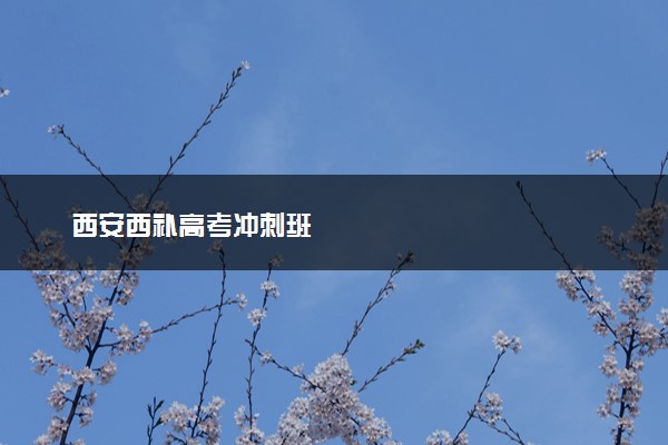西安西补高考冲刺班