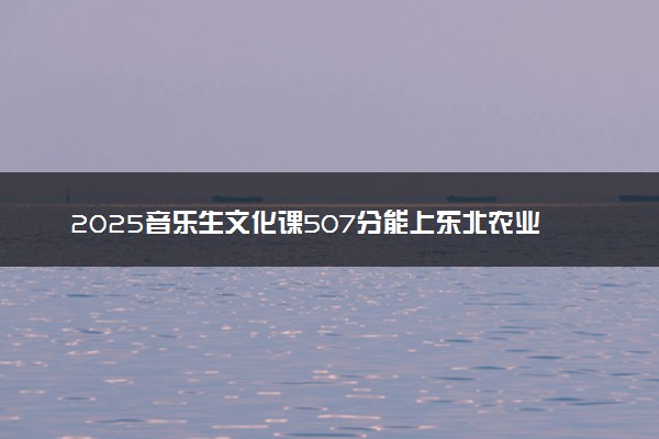 2025音乐生文化课507分能上东北农业大学吗