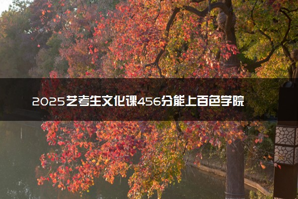 2025艺考生文化课456分能上百色学院吗