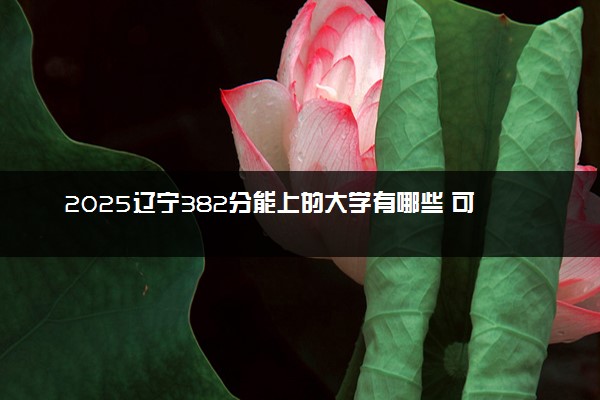 2025辽宁382分能上的大学有哪些 可以报考院校名单