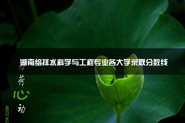 湖南给排水科学与工程专业各大学录取分数线：最低428分能上 开设院校及位次