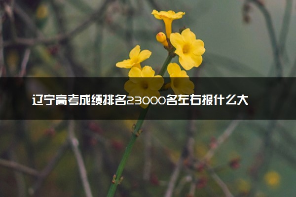 辽宁高考成绩排名23000名左右报什么大学好（2025年参考）