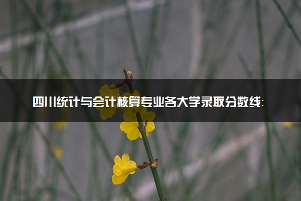 四川统计与会计核算专业各大学录取分数线：最低334分能上 开设院校及位次