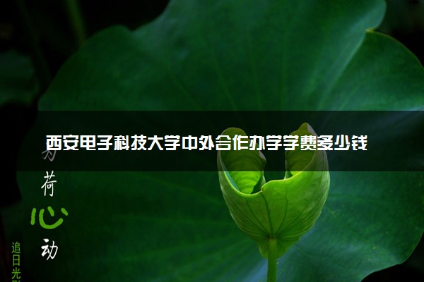 西安电子科技大学中外合作办学学费多少钱 各专业收费标准