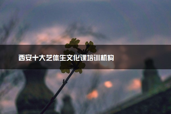西安十大艺体生文化课培训机构