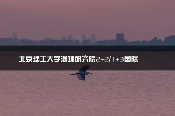 北京理工大学深圳研究院2+2/1+3国际本科专业及学费