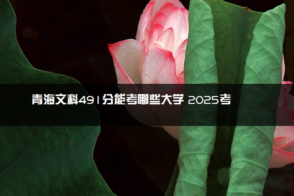 青海文科491分能考哪些大学 2025考生稳上的大学名单