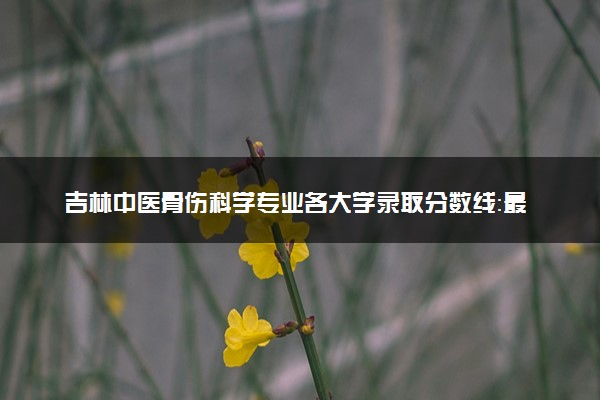 吉林中医骨伤科学专业各大学录取分数线：最低509分能上 开设院校及位次