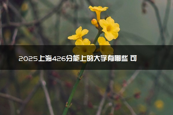 2025上海426分能上的大学有哪些 可以报考院校名单