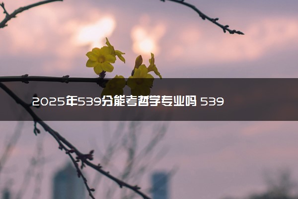2025年539分能考哲学专业吗 539分哲学专业大学推荐