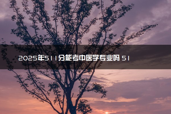 2025年511分能考中医学专业吗 511分中医学专业大学推荐