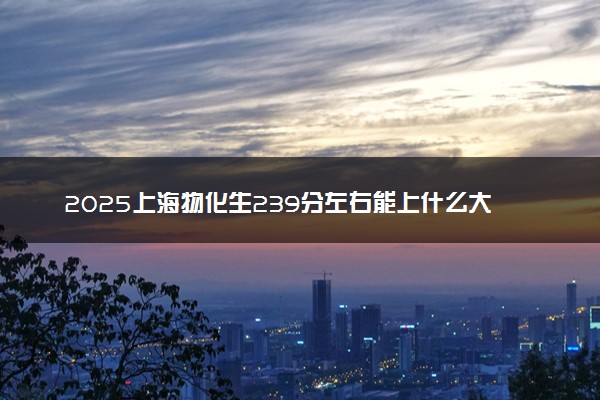 2025上海物化生239分左右能上什么大学 可以报考的院校名单