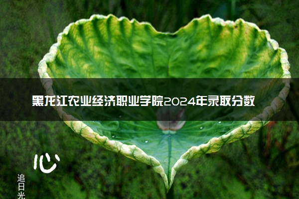 黑龙江农业经济职业学院2024年录取分数线：四川411分领跑，河南168分垫底 2025报考建议及事项