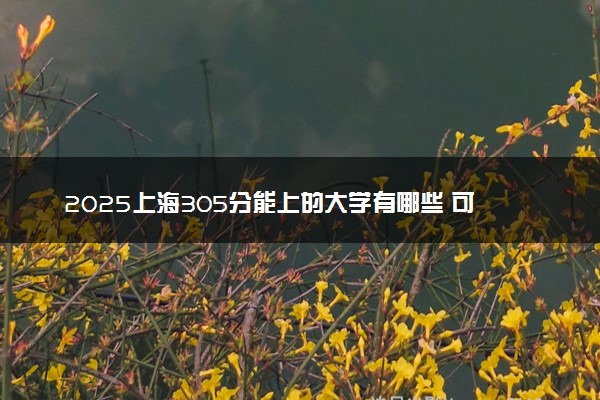 2025上海305分能上的大学有哪些 可以报考院校名单