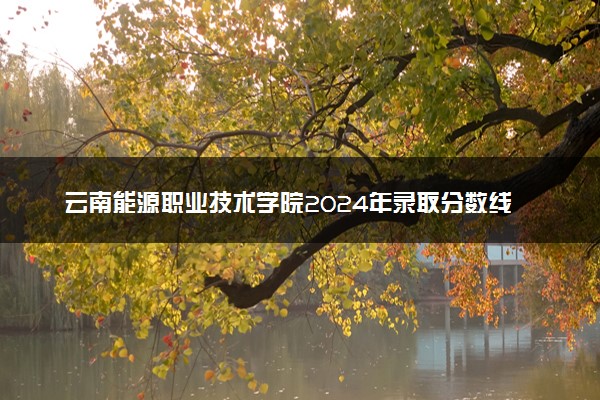 云南能源职业技术学院2024年录取分数线：贵州428分领跑，贵州245分垫底 2025报考建议及事项
