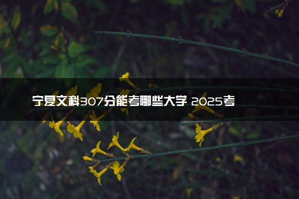 宁夏文科307分能考哪些大学 2025考生稳上的大学名单