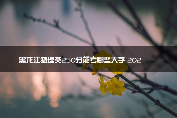 黑龙江物理类250分能考哪些大学 2025考生稳上的大学名单