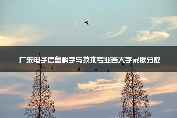广东电子信息科学与技术专业各大学录取分数线：最低446分能上 开设院校及位次