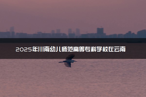 2025年川南幼儿师范高等专科学校在云南招生代码及专业代码 川南幼儿师范高等专科学校云南代码是多少？怎么查询？