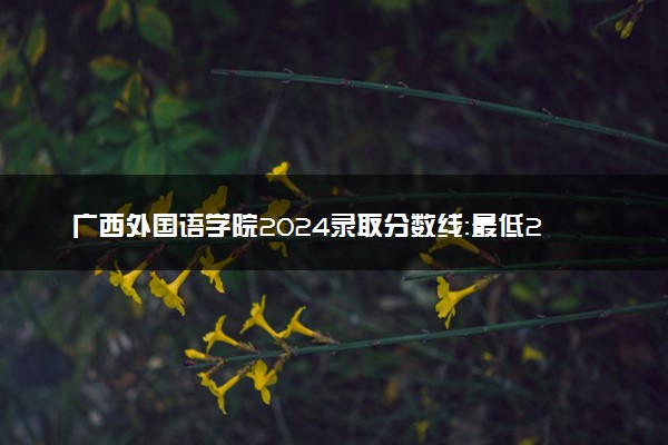 广西外国语学院2024录取分数线：最低200分 附2025年报考建议及注意事项