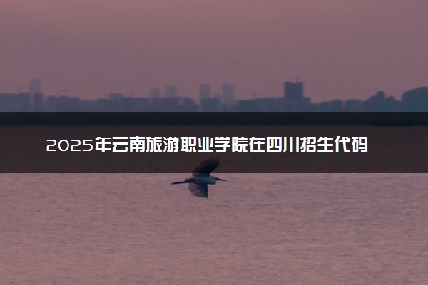 2025年云南旅游职业学院在四川招生代码及专业代码 云南旅游职业学院四川代码是多少？怎么查询？