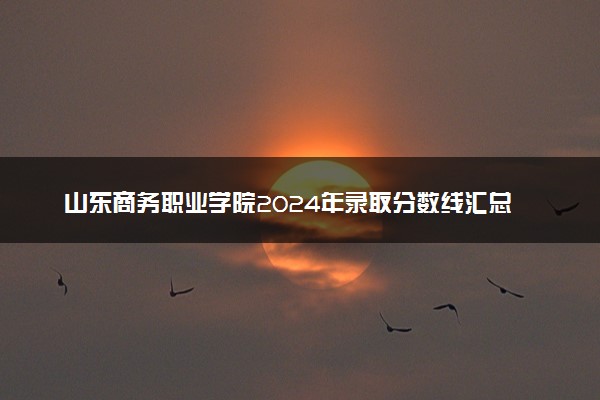 山东商务职业学院2024年录取分数线汇总 各省最低分与位次排名及2025报考指南