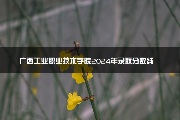 广西工业职业技术学院2024年录取分数线汇总 各省最低分与位次排名及2025报考指南