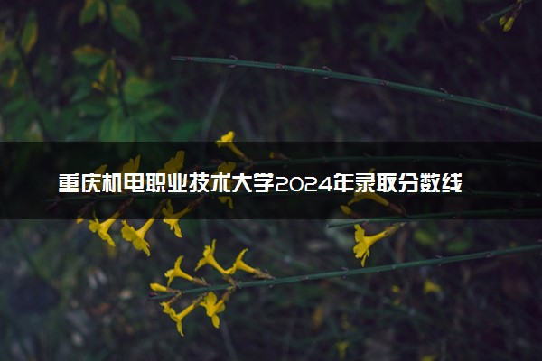 重庆机电职业技术大学2024年录取分数线：云南493分领跑，重庆180分垫底 2025报考建议及事项