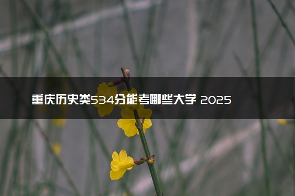 重庆历史类534分能考哪些大学 2025考生稳上的大学名单