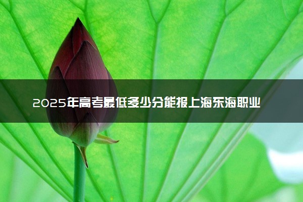 2025年高考最低多少分能报上海东海职业技术学院？附上海东海职业技术学院历年录取分数线及位次