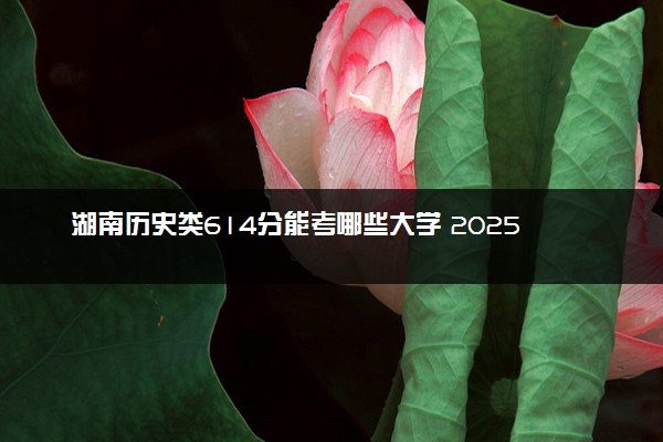 湖南历史类614分能考哪些大学 2025考生稳上的大学名单