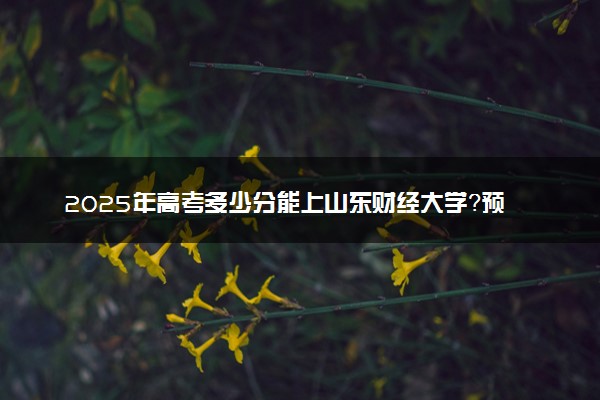 2025年高考多少分能上山东财经大学？预测各省份录取分数线（附2024年数据及报考指南）