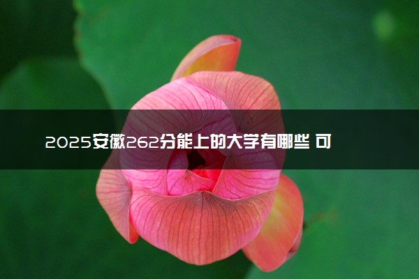 2025安徽262分能上的大学有哪些 可以报考院校名单