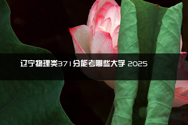 辽宁物理类371分能考哪些大学 2025考生稳上的大学名单