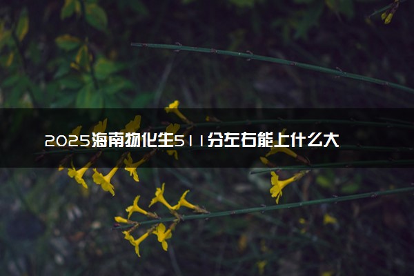 2025海南物化生511分左右能上什么大学 可以报考的院校名单
