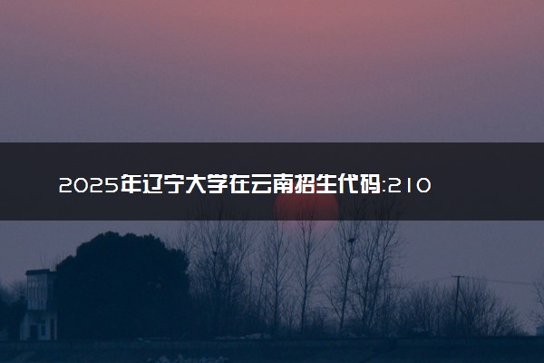 2025年辽宁大学在云南招生代码：2101 专业代码及报考指南