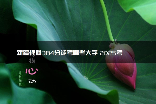 新疆理科384分能考哪些大学 2025考生稳上的大学名单