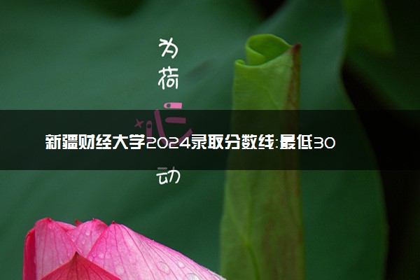 新疆财经大学2024录取分数线：最低302分 附2025年报考建议及注意事项