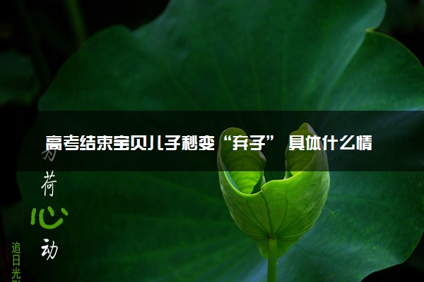 高考结束宝贝儿子秒变“弃子” 具体什么情况