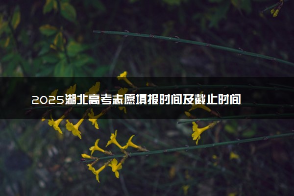 2025湖北高考志愿填报时间及截止时间 附官网入口和填报指南