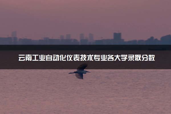 云南工业自动化仪表技术专业各大学录取分数线：最低316分能上 开设院校及位次